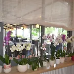 Smeraldo Brenzone sul Garda