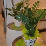 Smeraldo Hotel Brenzone sul Garda