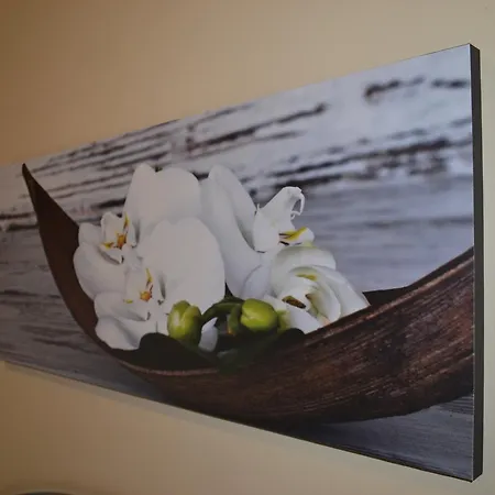 斯密拉尔多酒店 3* 布雷佐内加尔达