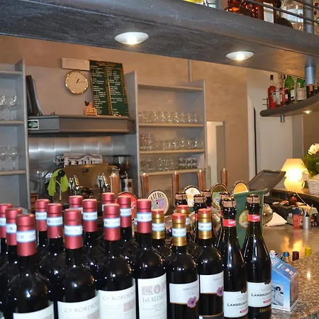 斯密拉尔多酒店 酒店 布雷佐内加尔达