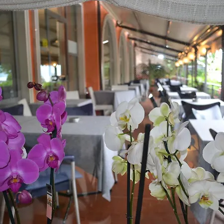 斯密拉尔多酒店 酒店 3*