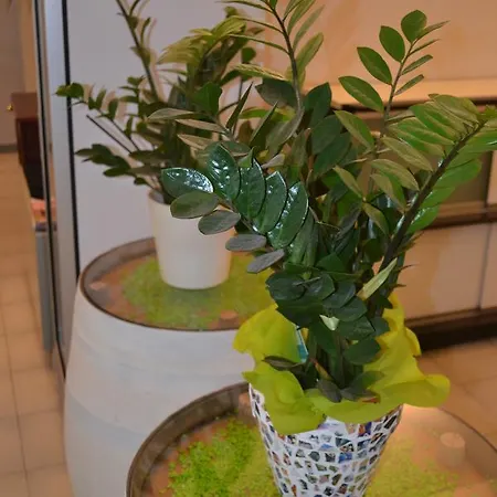 斯密拉尔多酒店 酒店 布雷佐内加尔达