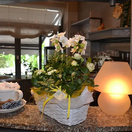 斯密拉尔多酒店 布雷佐内加尔达