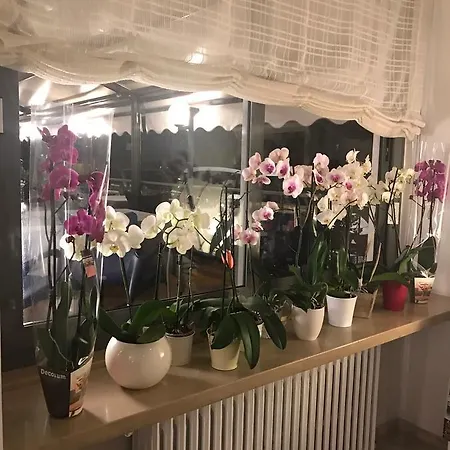 酒店 斯密拉尔多酒店 布雷佐内加尔达