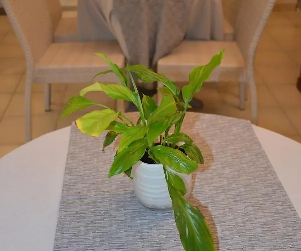 Smeraldo 3* 브렌조네 술 가르다