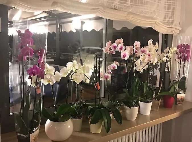 호텔 Smeraldo 브렌조네 술 가르다