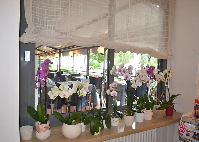 Smeraldo Brenzone sul Garda