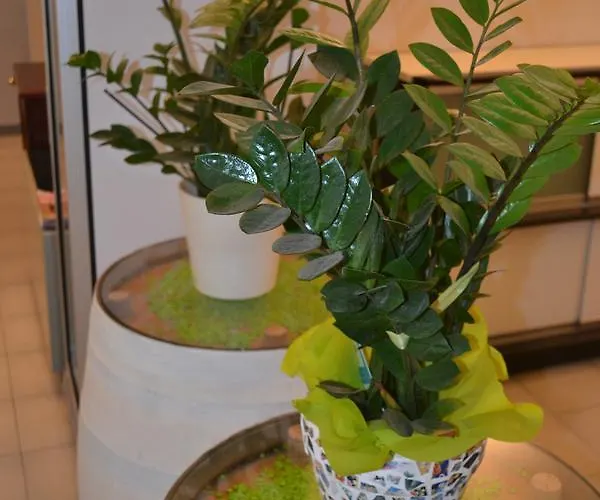 Smeraldo Hotel Brenzone sul Garda